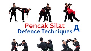 Silat Defence Techniques A [upl. by Cappello]