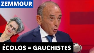 Éric Zemmour allume les écolos et Sandrine Rousseau gratuitement [upl. by Kletter178]