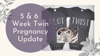 5 amp 6 Week TWIN Pregnancy Update amp Bump Shot [upl. by Aitekram]