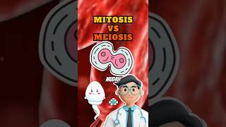 Mitosis amp Meiosis ▶️ Pembelahan Sel  Biologi Kelas 12 Kurikulum Merdeka 🔬 [upl. by Winn]