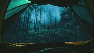 Torrential Rain amp THUNDER on a Camping TentLost in the ForestSleep to Rain Sounds in the WILD [upl. by Hallette577]