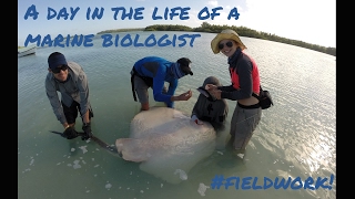 A day in the life of a marine biologist part 2 [upl. by Eustis]