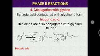 Xenobiotics part 2 Phase 2 and 3 reactions [upl. by Diantha582]