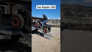 Tao Raptor 200 [upl. by Lois]