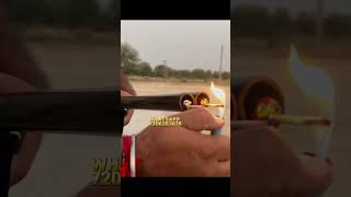 Diwali dhamaka toy gun airsoftgun diwalispecial ytshorts shortsvideo shortshorts shorts [upl. by Rennane]