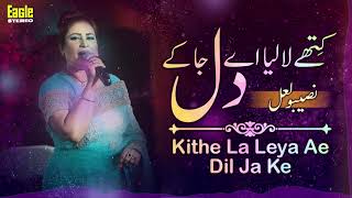 Kithe La Leya Ae Dil Ja Ke  Naseebo Lal  Eagle Stereo  HD Video [upl. by Neeroc105]