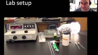 Investigation 5  photosynthesis AP biology [upl. by Aderfla]