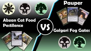 Watch Till The End  Testing a New Abzan Cat Food vs Golgari Fog Gates  Pauper Match  MTGO [upl. by Airahcaz168]