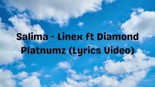 Linex ft Diamond Platnumz  Salima Lyrics Video [upl. by Yenalem512]