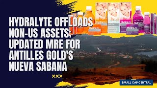 Small Cap Central Hydralyte Offloads NonUS Assets amp Updated MRE for Antilles Golds Nueva Sabana [upl. by Nnylyar942]