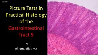 Picture tests in histology of the gastrointestinal system 5 [upl. by Ainud]