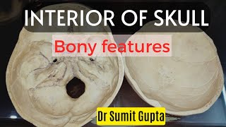 INTERIOR OF SKULL  Bony features [upl. by Page]