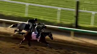 2024 Kentucky Derby amp Kentucky Oaks Handicappers Preview [upl. by Hiller]