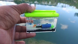 WORLDS SMALLEST Fish AQUARIUM REAL [upl. by Dorothea]