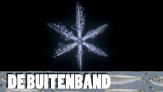 De Buitenband  Sneeuwkristallen [upl. by Cece345]