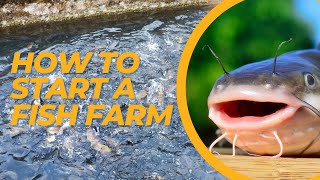 How to start Fish Farming  Fish Farming for Beginners [upl. by Amsa]