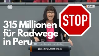 Steuerverschwendung Deutschland Fraktionslose Joana Cotar bringt es auf den Punkt [upl. by Ynattib]