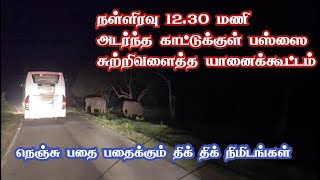 Ooty to Mysore Dangerous Midnight Forest Bus Journey  Jolly Trip [upl. by Kym]