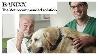 How to treat your dogs ear infections at home with Banixx pet care [upl. by Dani]