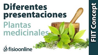 Diferentes presentaciones de las plantas medicinales [upl. by Arhna777]