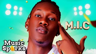 🔥 MIC  Win 🎧  2023 SIERRA LEONE MUSIC 🇸🇱  Music Sparks [upl. by Novaat736]