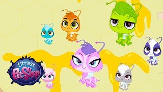 Littlest Pet Shop Season 2  Honey is Good For the Soul Official Clip [upl. by Gladis]