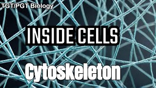 Cytoskeleton Structure and Function  Microtubules  Microfilaments  Intermediate Filaments [upl. by Wartow740]