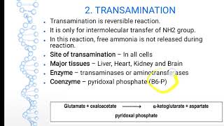 General Reactions of Amino Acid Metabolism [upl. by Meredith608]