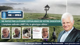 NE RATEZ PAS LA PHASE CÉPHALIQUE DE VOTRE DIGESTION [upl. by Heriberto]