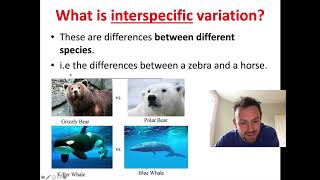 Variation  Causes and Types OCR A Level Biology 436 [upl. by Dehnel]