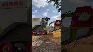 MONSTER CLAAS LEXION 8800 HARVESTING WHEAT YORKSHIRE TRACTOR COMBINE AGRICULTURE FARM [upl. by Milburr]