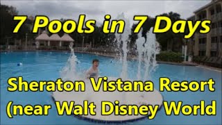 7 Pools in 7 Days  Sheraton Vistana Resort near Walt Disney World [upl. by Ragde]