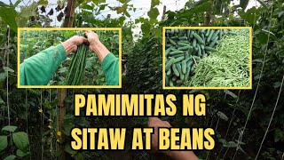 PAMIMITAS NG STIAW AT BEANS [upl. by Annoyik]