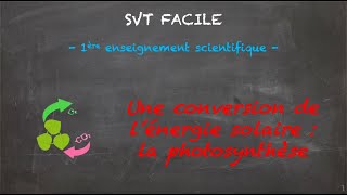 SVT FACILE  1ère ens sci  Une conversion de lénergie solaire  la photosynthèse [upl. by Frerichs]