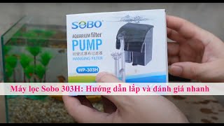 Máy lọc bể cá Sobo 303H Hướng dẫn lắp đặt và đánh giá nhanh [upl. by Juana]