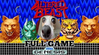 Altered Beast MEGA DRIVE  ℙ𝔸𝕊𝕊𝔸𝔻𝕆 ℂ𝕆𝕄 𝔸𝕁𝕌𝔻𝔸 𝔻𝕆 𝕊𝔸𝕍𝔼 𝕊𝕋𝔸𝕋𝕀𝕆ℕ [upl. by Idnil]