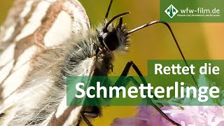 Rettet die Schmetterlinge [upl. by Colpin]