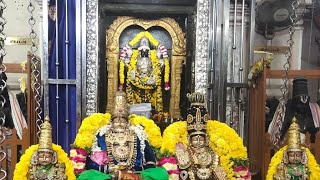 Navaratri program 2024 at srinivasa perumal temple keelkattalai by Trilinga Academy of Music ❤️ [upl. by Nerot]