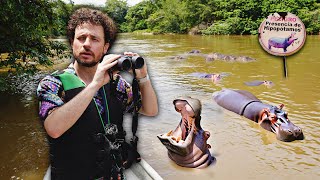 Buscando la plaga de hipopótamos de Escobar en Colombia  ¿Es real ⚠️🦛🇨🇴 [upl. by Vaughan]