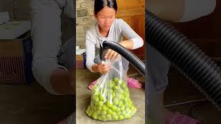 Handheld vacuum compression packaging process for the fruit preservation [upl. by Mosora]