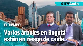 CITYAndo Varios árboles en Bogotá están en riesgo de caída  El Tiempo [upl. by Anod227]