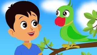 Main Tota Main Tota  Hindi Kids Rhyme  Nursery Songs In Hindi  मैं तोता मैं तोता  Hindi Rhyme [upl. by Llenral]