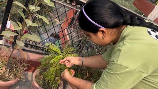 Shivani ne kitchen m aag lga di 😮 😱🔥Divya puri vlog 40 trending dailyvlog sisters [upl. by Baruch]