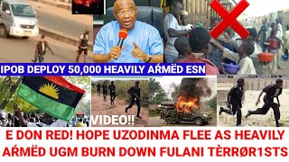 Hope Uzodinma Flee As UGM Bùŕn Down Proposed IDP Camp For Fùlni Tèrrør1sts In Imo State [upl. by Licec188]