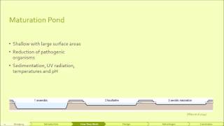 Group 14 Design of Waste Stabilisation Ponds [upl. by Alicul]