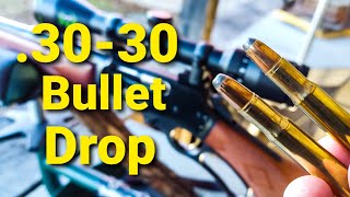 3030 Bullet Drop  Demonstrated and Explained [upl. by Treb]