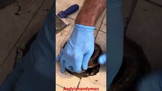 Broken Flange Repair andyishandyman [upl. by Bobette]