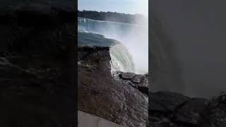 Niagara falls death [upl. by Kcirrez]