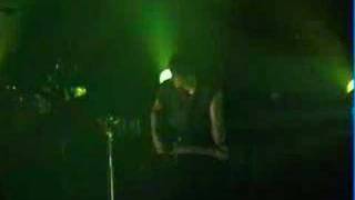 NIN  Reptile Live 2005 [upl. by Anirehtak]