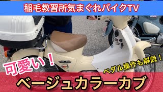 稲毛教習所気まぐれバイクTV 可愛いベージュカラーカブ！！スーパーカブのペダル操作も少し紹介！ ＭＣＪ [upl. by Haase]